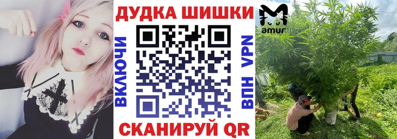 Наркошоп купить Псилоцибиновые грибы  COCAIN  APVP  МЕФ  Канабис  Сосногорск