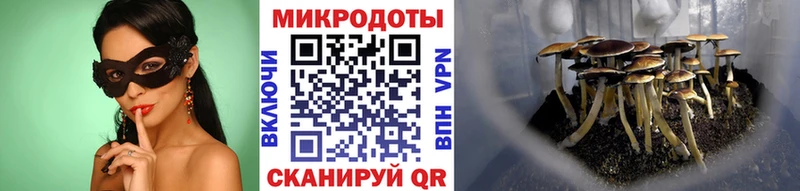 Купить  Сосногорск  Псилоцибиновые грибы Psilocybine cubensis 